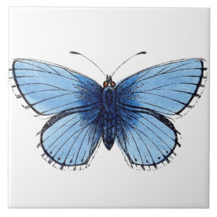Ceramic Tile - Blue Butterfly