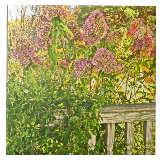 ceramic tile /"HYDRANGEAS AT WOODEN FENCE" (Front)