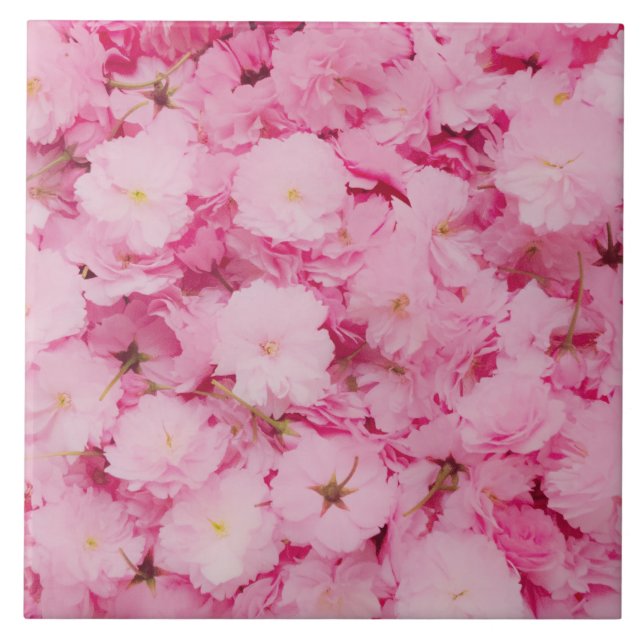 Ceramic Tile Pink Cherry Blossom Floral Botanical (Front)