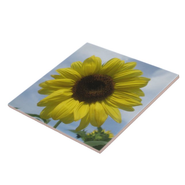Ceramic Tile - Sunflower Summer Sky (Side)