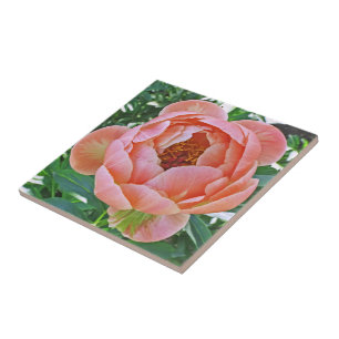 CERAMIC TILE/TRIVET WITH PINK PEONY TILE