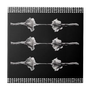 Ceramic Tile White and Black