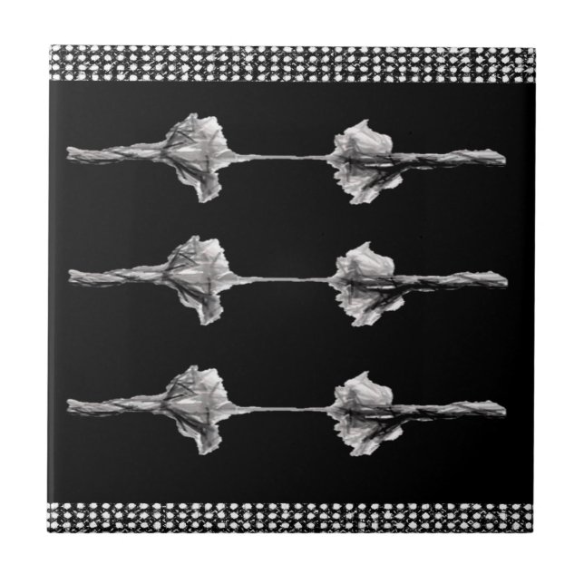 Ceramic Tile White and Black (Front)