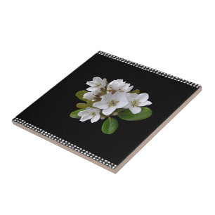Ceramic Tile White and Black Floral