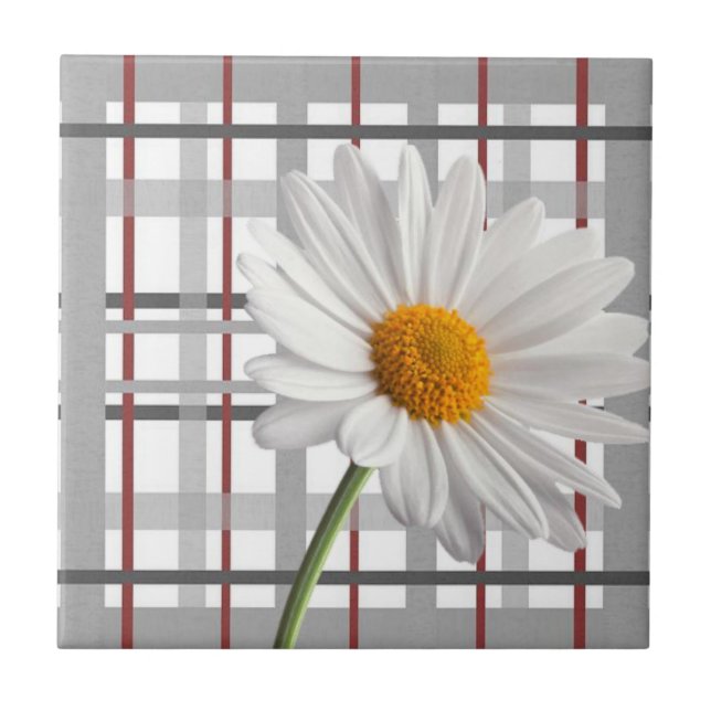 Ceramic Tile White Daisy Floral (Front)