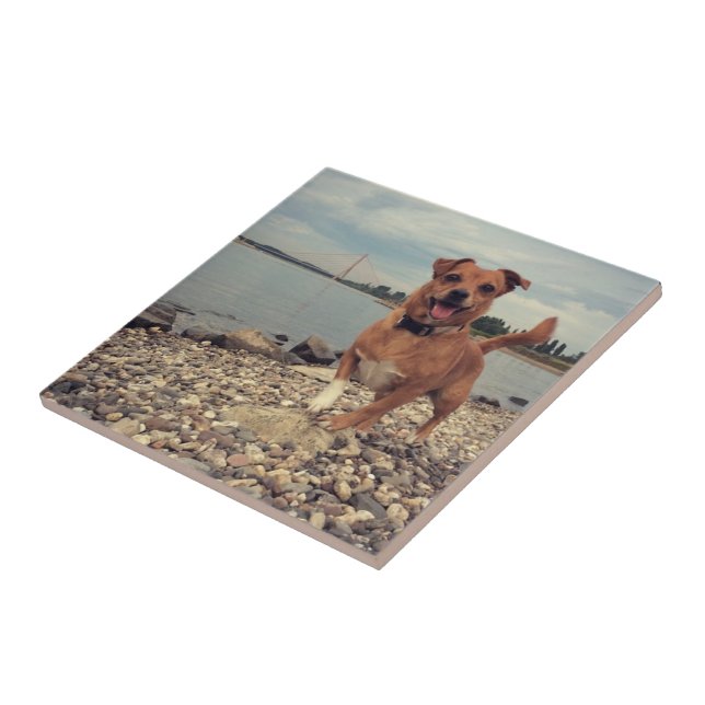 Ceramic Tile with Square Images (Side)