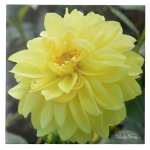 Ceramic tile with yellow dahlia