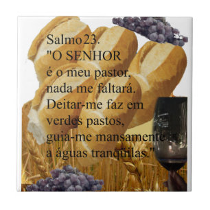 Ceramics tile Salmo 23