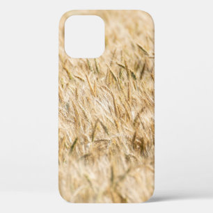 Cereals cornfield ripe agriculture iPhone 12 case