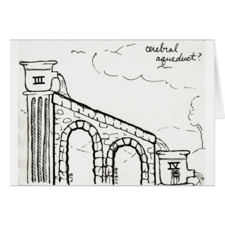 Cerebral Aqueduct card