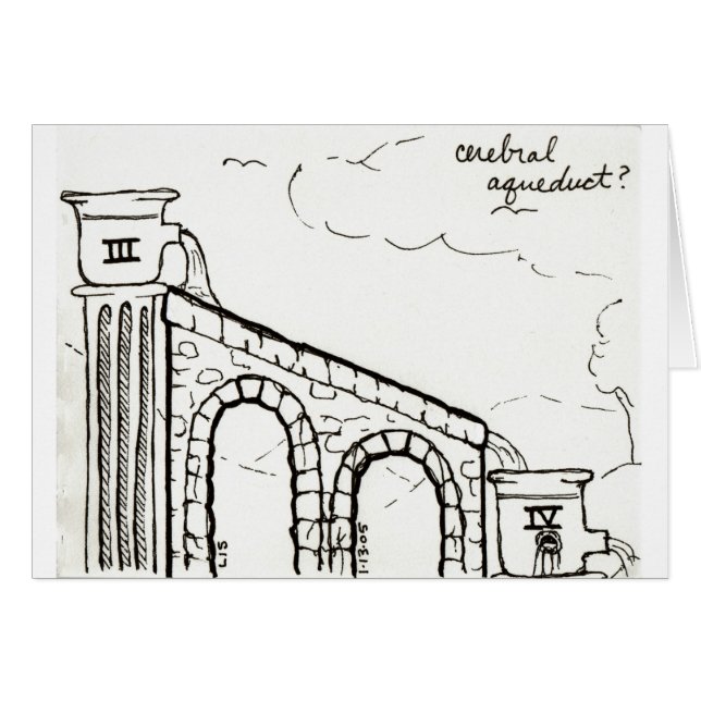 Cerebral Aqueduct card (Front Horizontal)