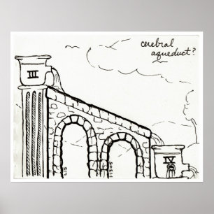Cerebral Aqueduct print