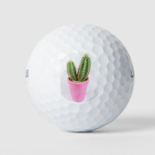 Cereus cactus in a pink pot golf balls