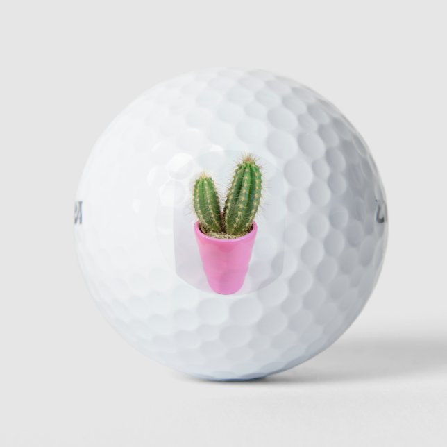 Cereus cactus in a pink pot golf balls (Front)