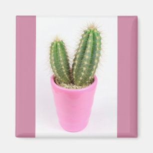 Cereus cactus in a pink pot magnet