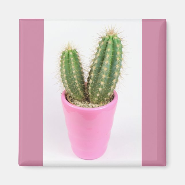 Cereus cactus in a pink pot magnet (Front)