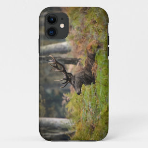 Cerf in the forest of fountainebleau Case-Mate iPhone case