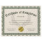 Certificate of Completion, Customisable 8.5x11