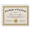 Certificate of Excellence Gold Customisable 8.5x11