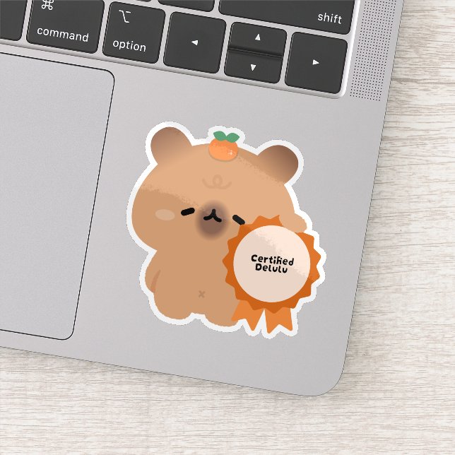 Certified Delulu Capybara (Detail)