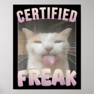 Certified Freak Cat Meme Offensive Memes Funny Cat Poster