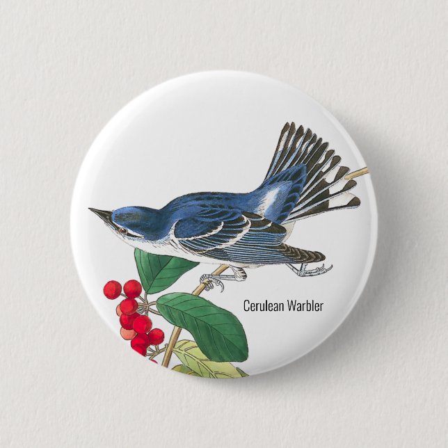Cerulean Warbler by Audubon, Birder Fashion Wear,, 6 Cm Round Badge (Front)