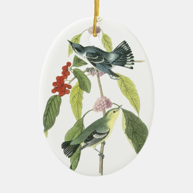Cerulean Warbler, John Audubon Ceramic Tree Decoration (Front)