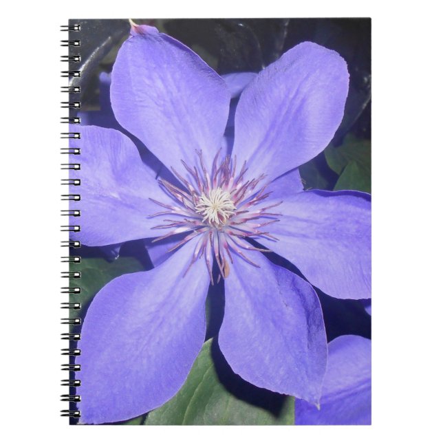 Césarine Notebook (Front)