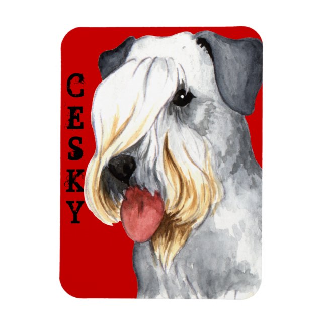 Cesky Terrier Colour Block Magnet (Vertical)