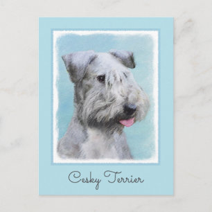 Cesky Terrier Painting - Cute Original Dog Art Postcard