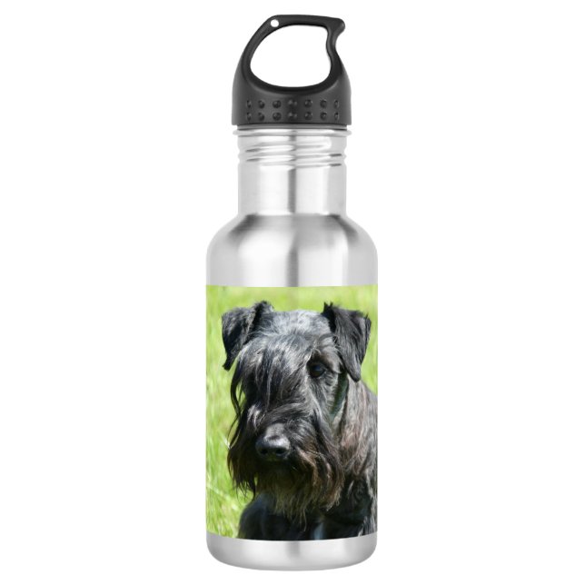 cesky-terrier.png 532 ml water bottle (Front)
