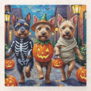 Cesky Terrier Trick-or-Treating Halloween Costume Glass Coaster