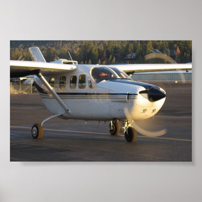 Cessna Skymaster Poster (Front)