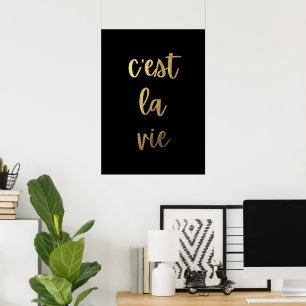 C'est la vie  poster