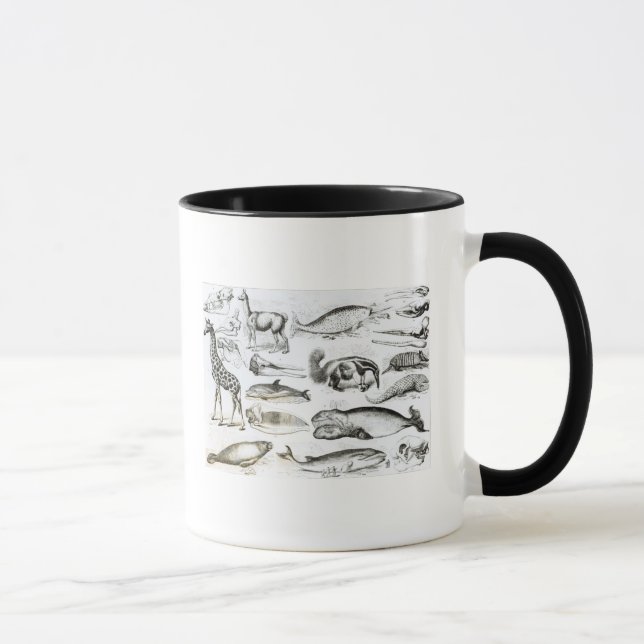 Cetacea Edentata Mug (Right)