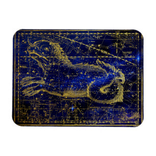 cetus constellation magnet