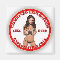CEXC Combined Explosives Exploitation Cell CIED