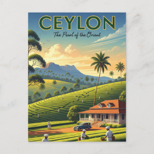 Ceylon Sri Lanka Travel Postcard