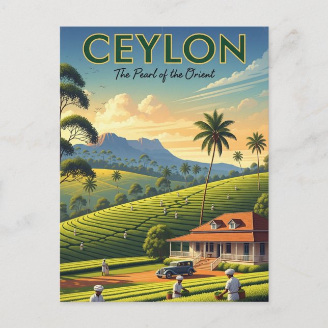 Ceylon Sri Lanka Travel Postcard (Front)