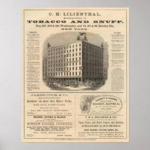 CH Lilienthal Poster