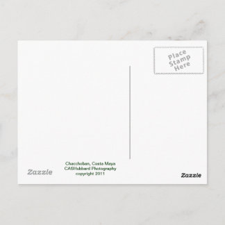 Chacchoban Pyramid Postcard