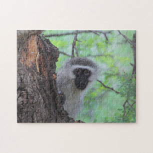 Chacma Baboon Jigsaw Puzzle