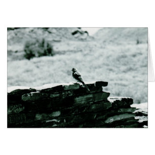 Chaco Bird card