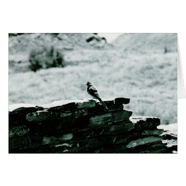 Chaco Bird card (Front Horizontal)