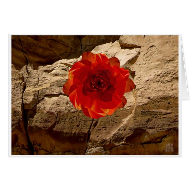 Chaco Stone Rose (Front Horizontal)