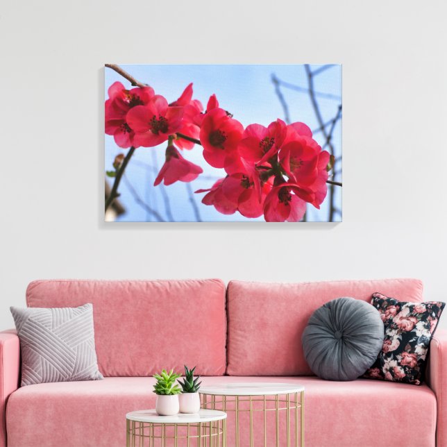 Chaenomeles speciosa canvas print (Insitu(LivingRoom))