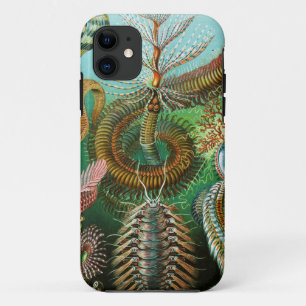 Chaetopoda illustration by Ernst Haeckel Case-Mate iPhone Case