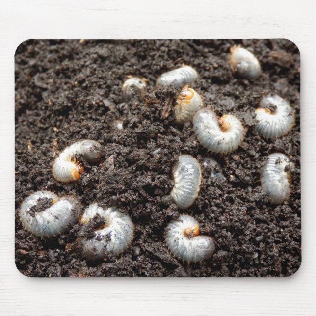 Chafer Larva Mouse Mat (Front)