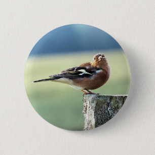 CHAFFINCH 6 CM ROUND BADGE