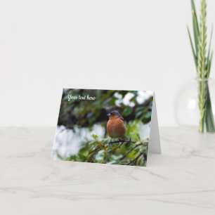 Chaffinch bird Greeting card